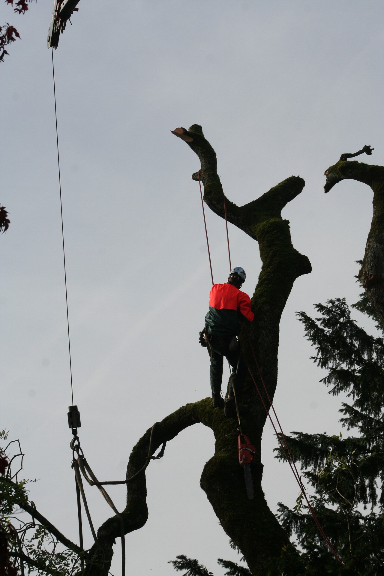 Abseiltechnik Shop Petzl ActSafe Rockexotica Singing Rock
